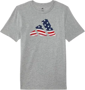 adidas Boys' Short Sleeve Cotton USA Graphic T-Shirt